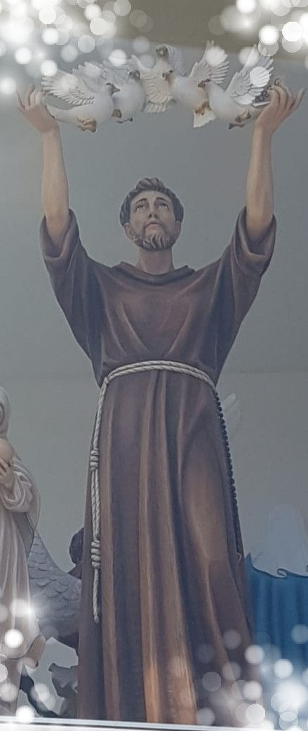 Franciscus2